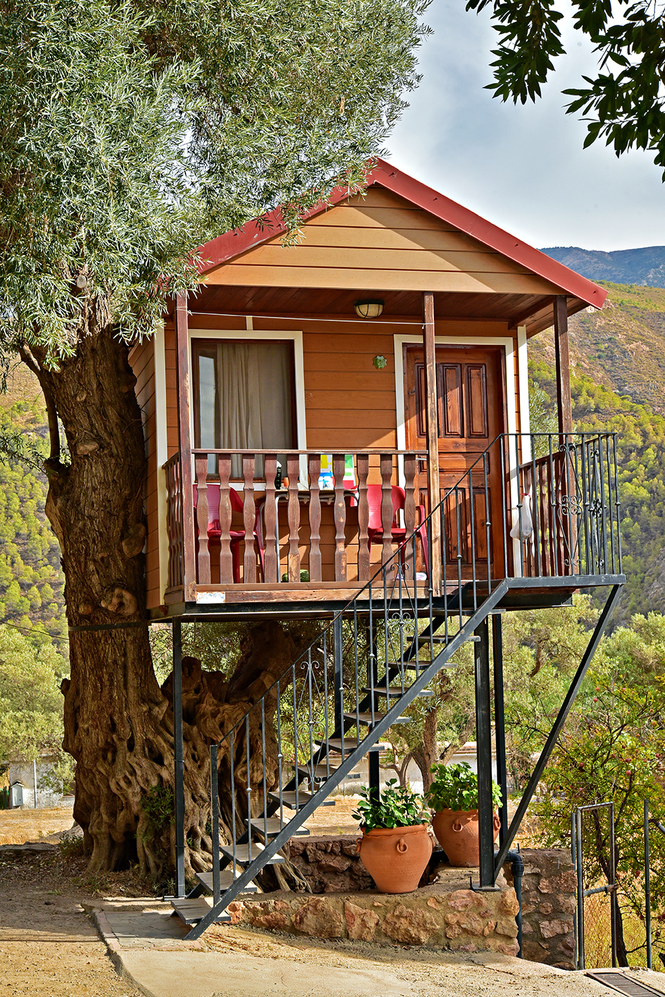 CAMPING ORGIVA CABAÑA DEL ARBOL