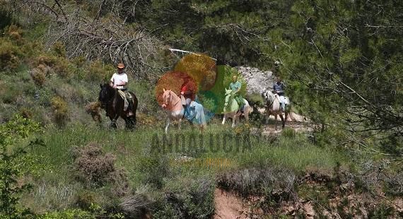 RUTA A CABALLO TODO EL DIA